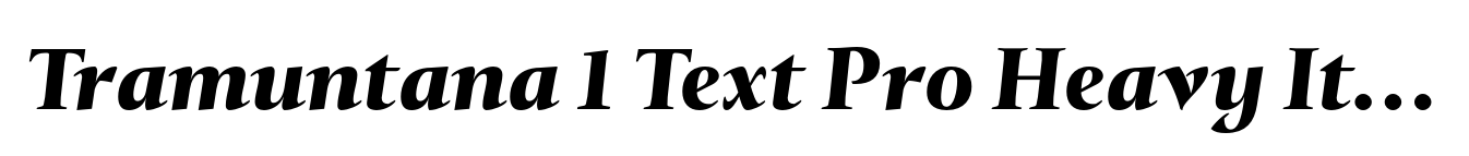 Tramuntana 1 Text Pro Heavy Italic image